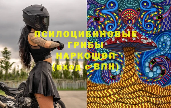 скорость Медвежьегорск