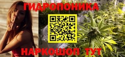 Альфа ПВП Кимры