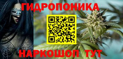 Альфа ПВП Кимры